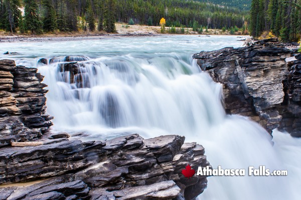 Athabasca Falls in Jasper National Park in July