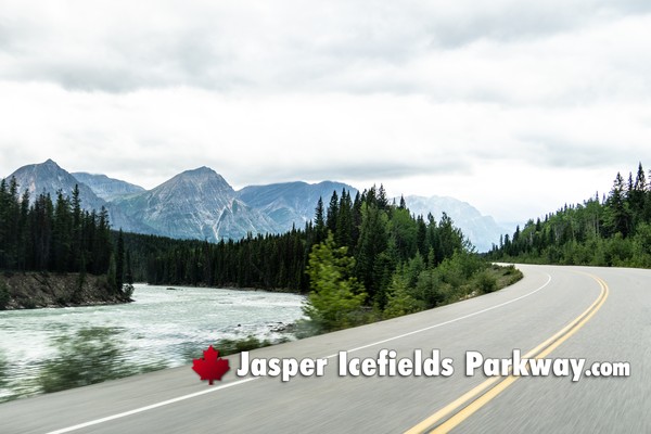 Jasper Icefields Parkway During July