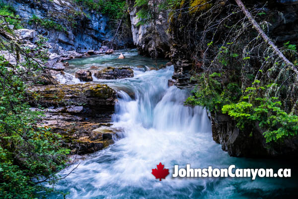 Johnston Canyon During July