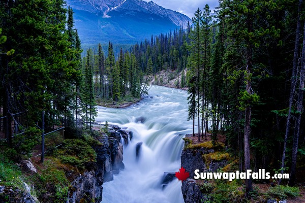 Sunwapta Falls in Jasper National Park in July